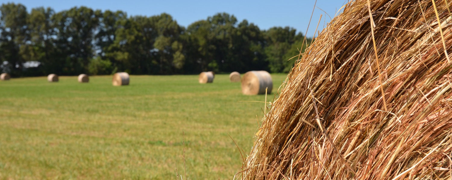 Haymond Insurance Arkansas Searcy NWA Trucking